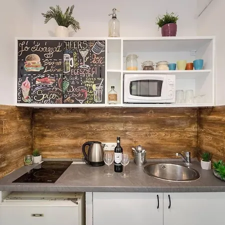 Vintage Downtown Apartment, 2 Baths *